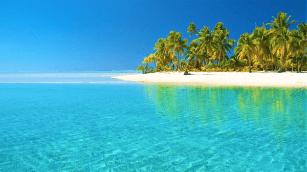 Best Beaches You Must Visit In Havelock Island To Fall In Love With The ...