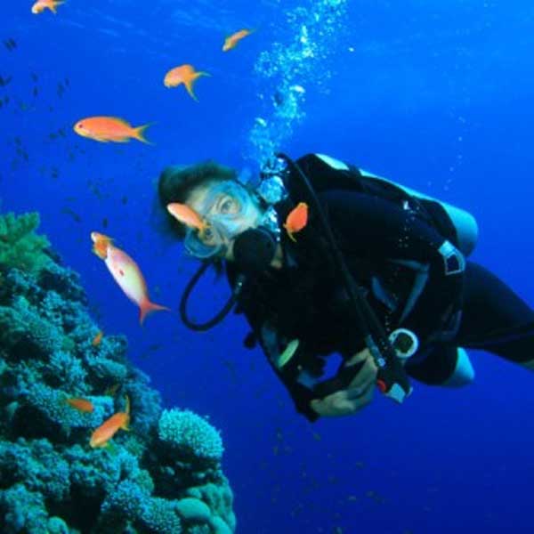Scuba Diving In Havelock Island Shore Dive Havelock Island 5755