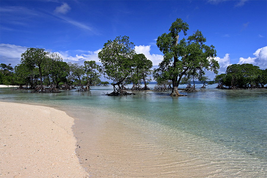 Kalapathar Beach, Havelock Island - Know about How to Reach, Best Time ...