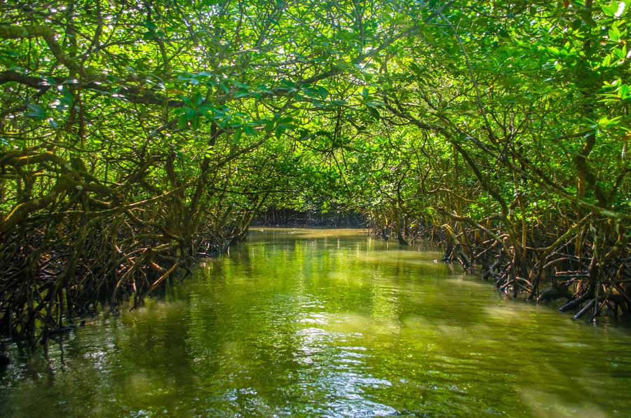 Baludera Beach, Baratang Island - Know about How to Reach, Best Time to ...