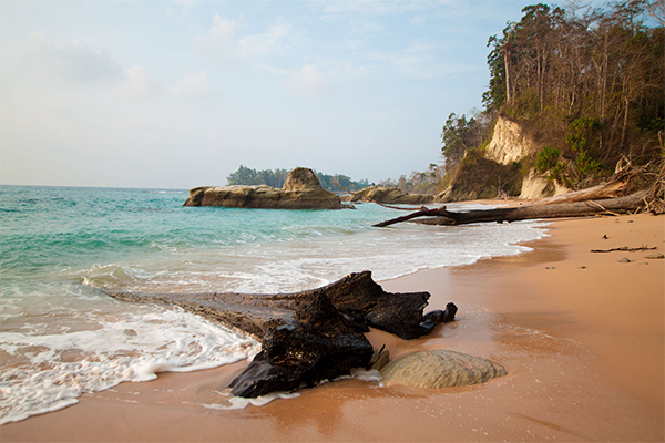 Kalapathar Beach, Havelock Island - Know about How to Reach, Best Time ...